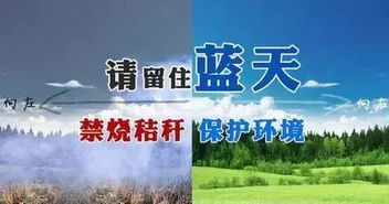 呵護山水林田湖草生命共同體——張掖整體推進祁連山生態(tài)修復(fù)與環(huán)境保護監(jiān)測